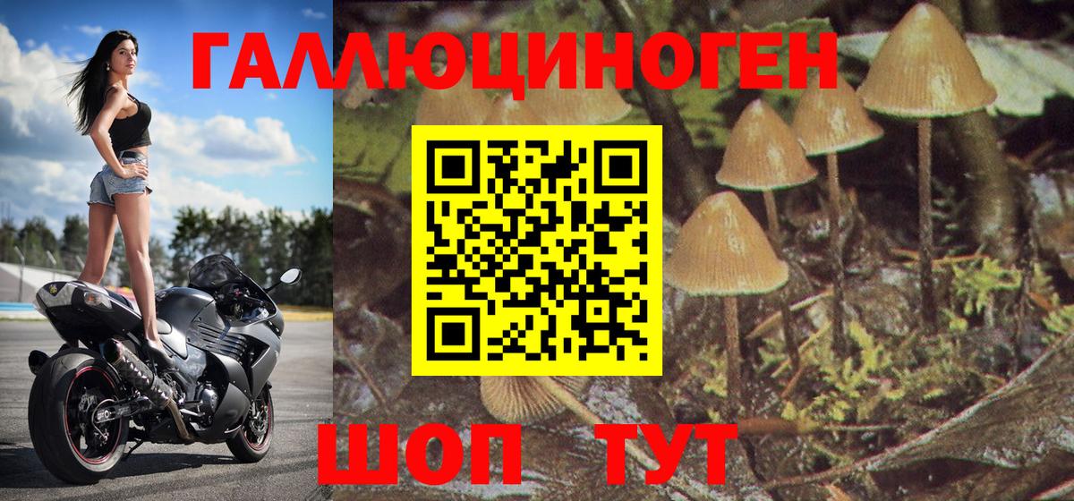 Псилоцибиновые грибы ЛСД Хабаровск