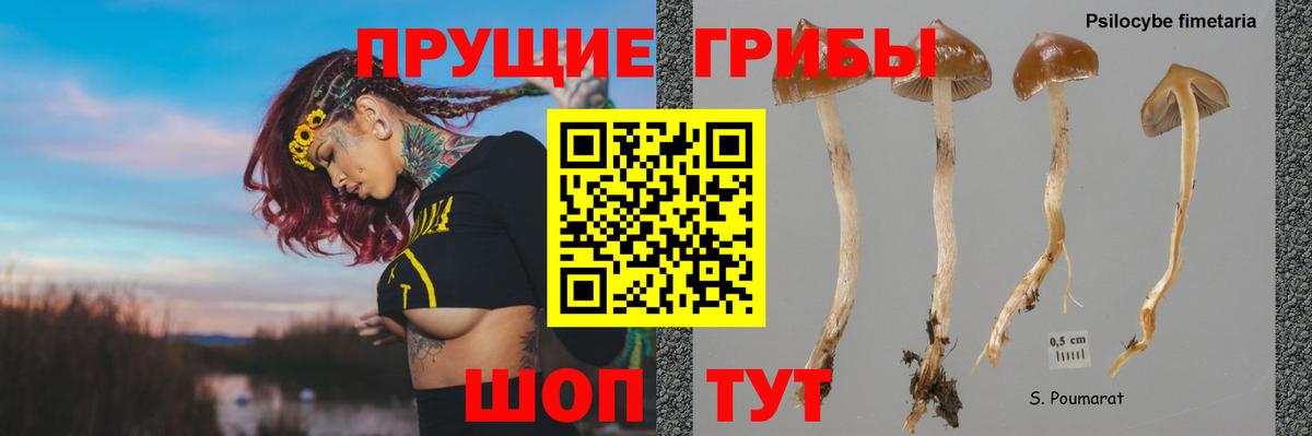 Хабаровск  Галлюциногенные грибы ЛСД  Вход с VPN 